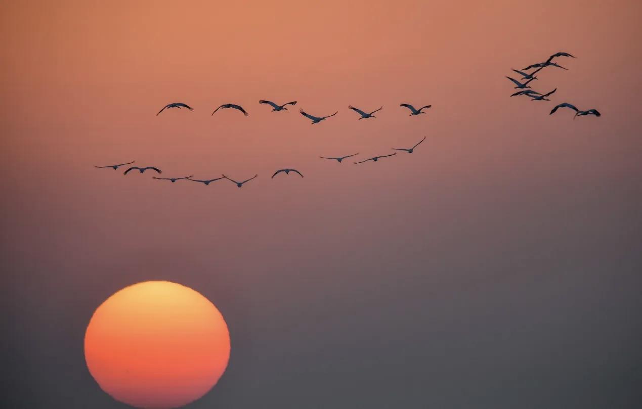 【有才能的人，做自己喜爱的事；有天赋的人，做自己能做的事】
        有才