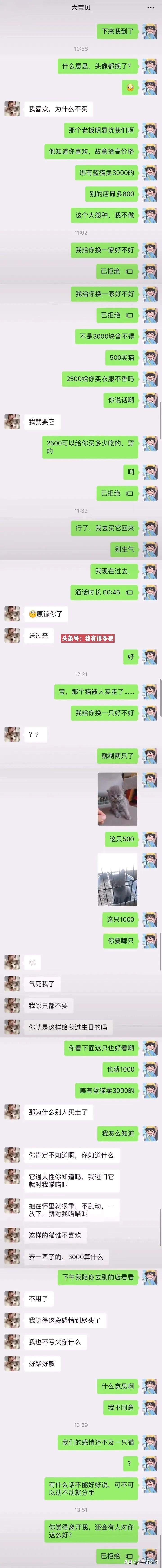 我们的感情还不如一只猫重要！




#搞笑一刻#