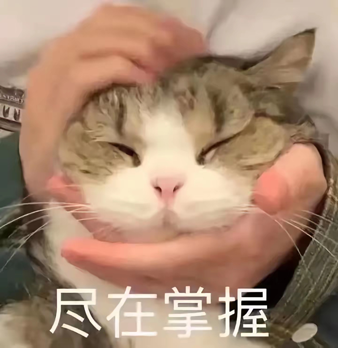 玩加夜话 今天的比赛结束大家预料到会是当前的排名了吗？英雄联盟 ​​​
