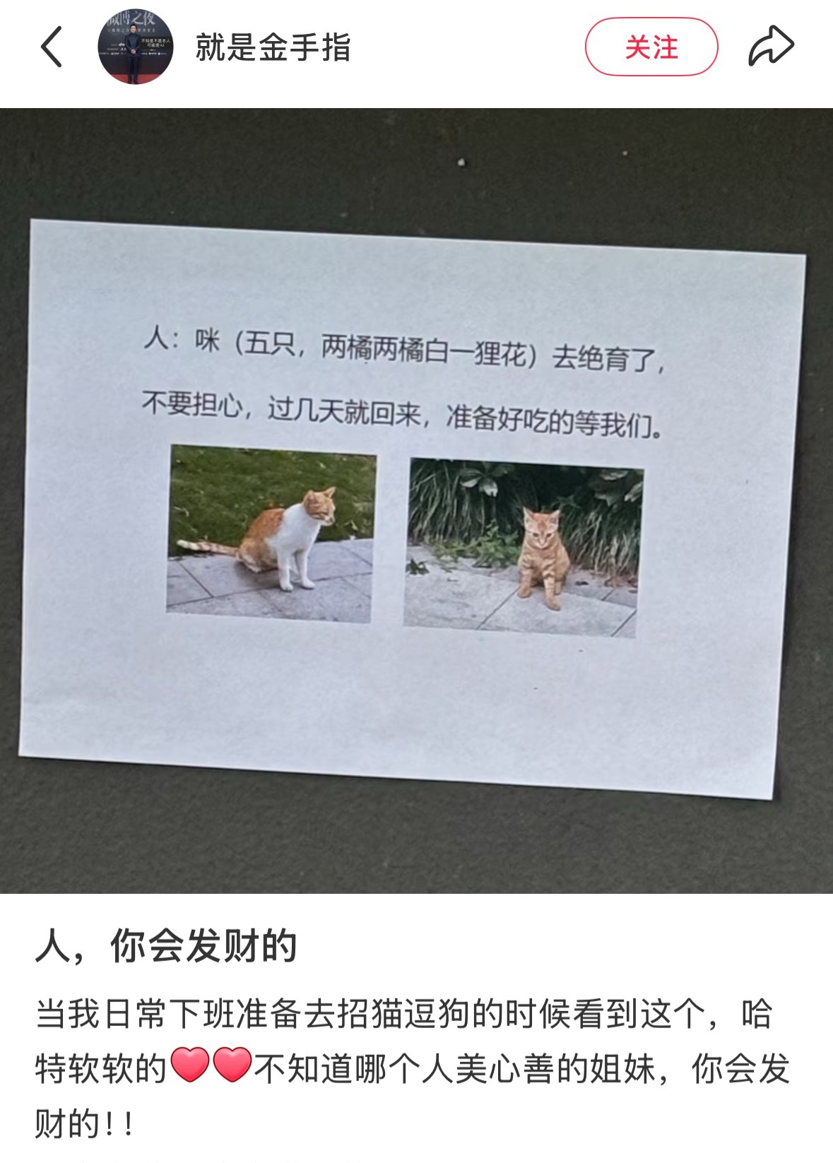 看得心暖暖[可怜][可怜]人 你会发财的[可怜][可怜] ​​​