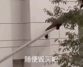 cv天空[超话] 周一啦，上班啦人世间最痛苦的事🧚‍♀️cv天空 sky微笑生