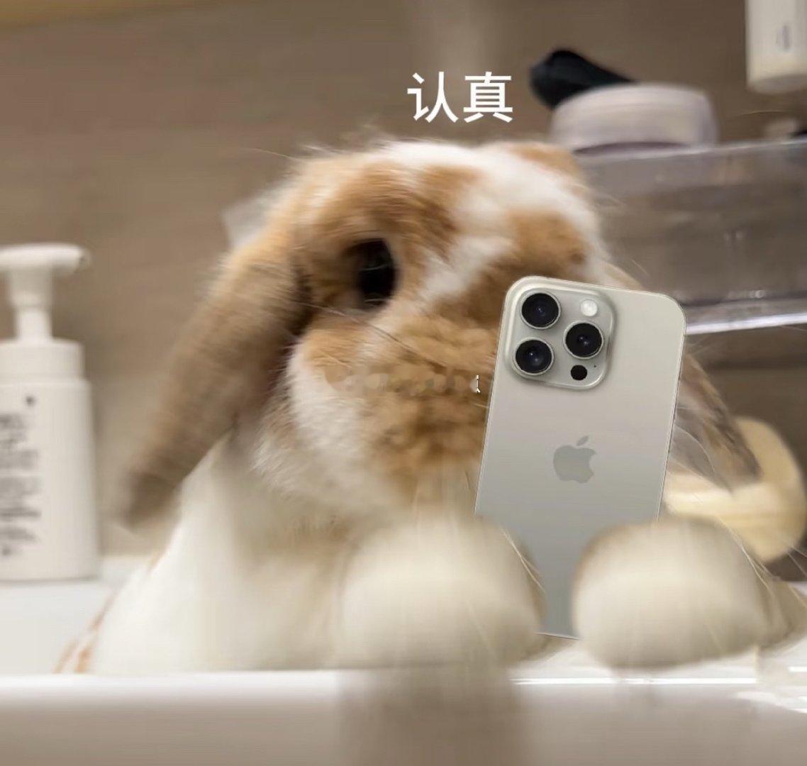 记账：🐺睡前没有好好抱我，必须惩罚他！惩罚还没有想好🐺晚上吃完饭一下子躺床上