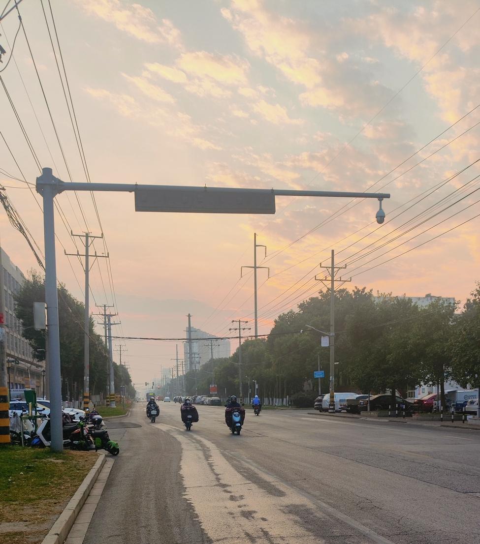 笨蛋怎么在这个社会生存我就是笨蛋本人，其实不是笨蛋吧 这几年我明显 感觉到我的感