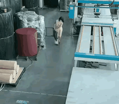 新来的助理，经理让她把小推车拿过来，看了监控后不淡定了，经理也纳闷:“到底是自己