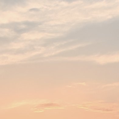 森林驿站 ☀️ygxy极好✨784想涨ygxy的宝宝可以来和我互动啦🉑转 🉑