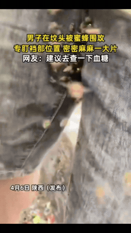 “解释不清了！”陕西，一男子清明节去上坟。突然，一群蜜蜂飞来围攻他。没想到，专盯