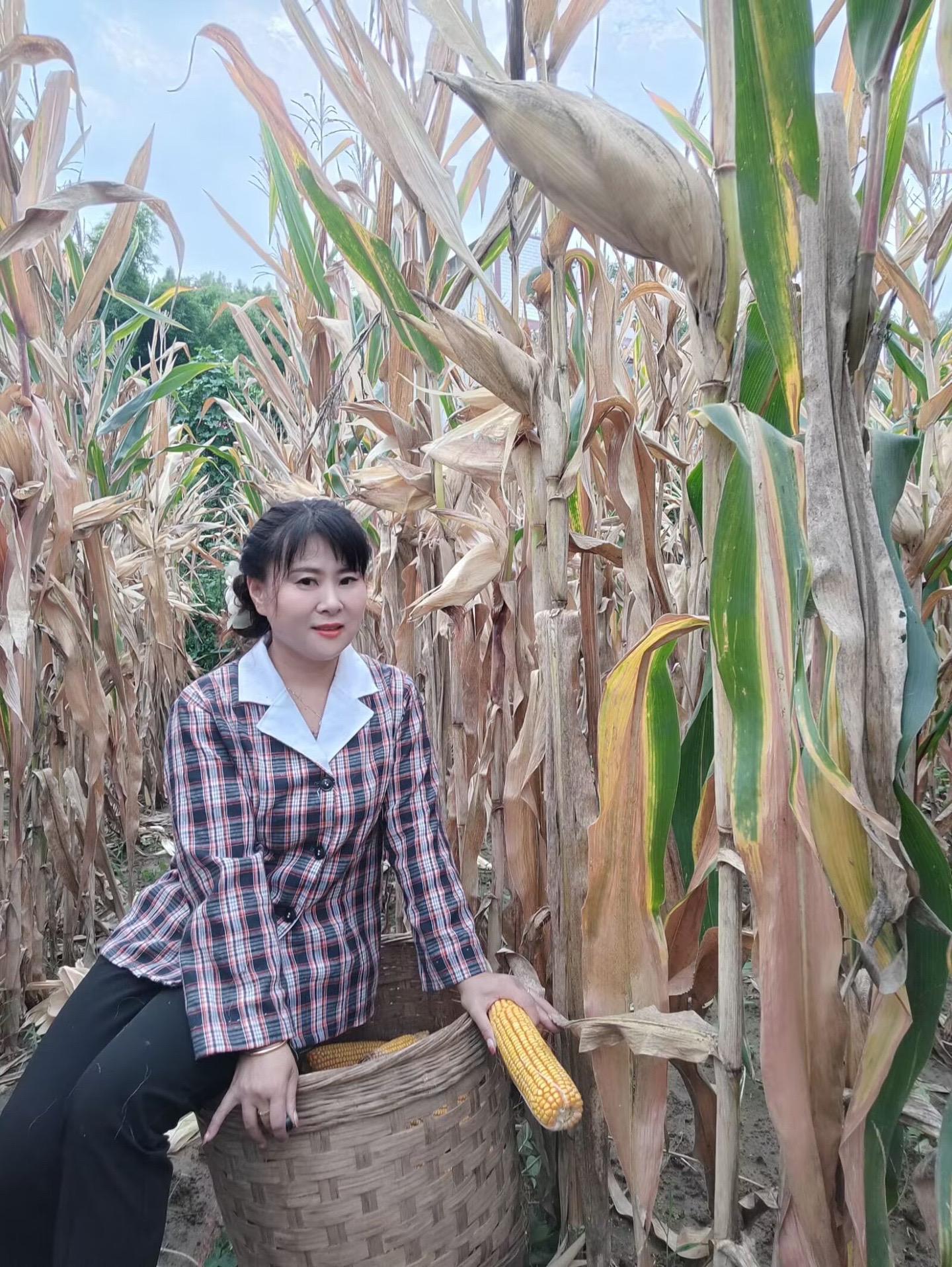 这首怎么都听不够……
