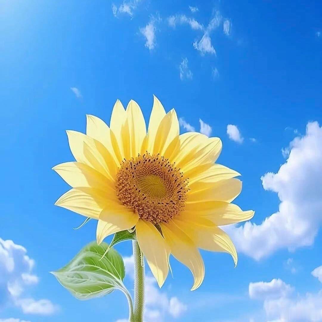 高考——就是高高兴兴的去考试人生从来不只是一场考试未来还有无数精彩可期愿坐在考场