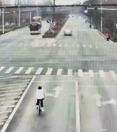 狭路相逢勇者胜