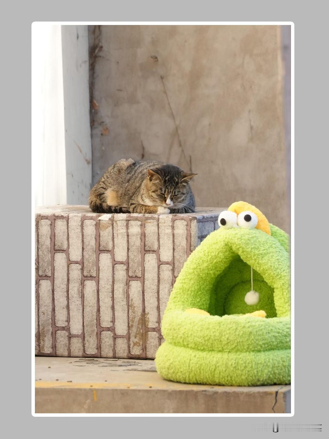 马上过年了，如果你想请几位领导吃饭：

刚刚得知
李总不吃甜的，
陈总不吃辣的，