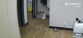 什么家庭，还有奶牛猫表演杂技！ 