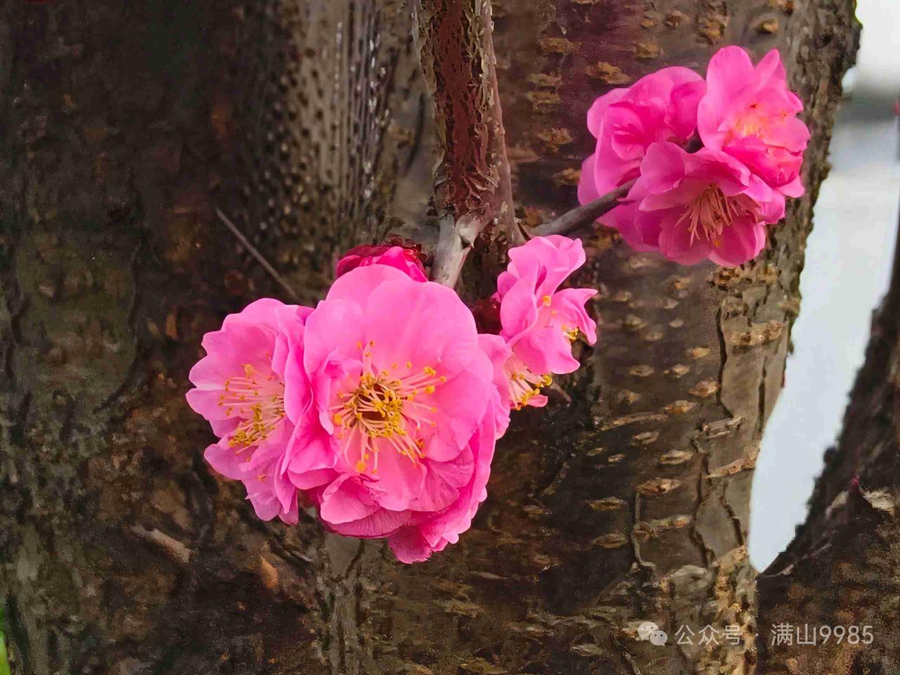 我的今日状态：😁轻松愉快
我这里的天气：🍂微风