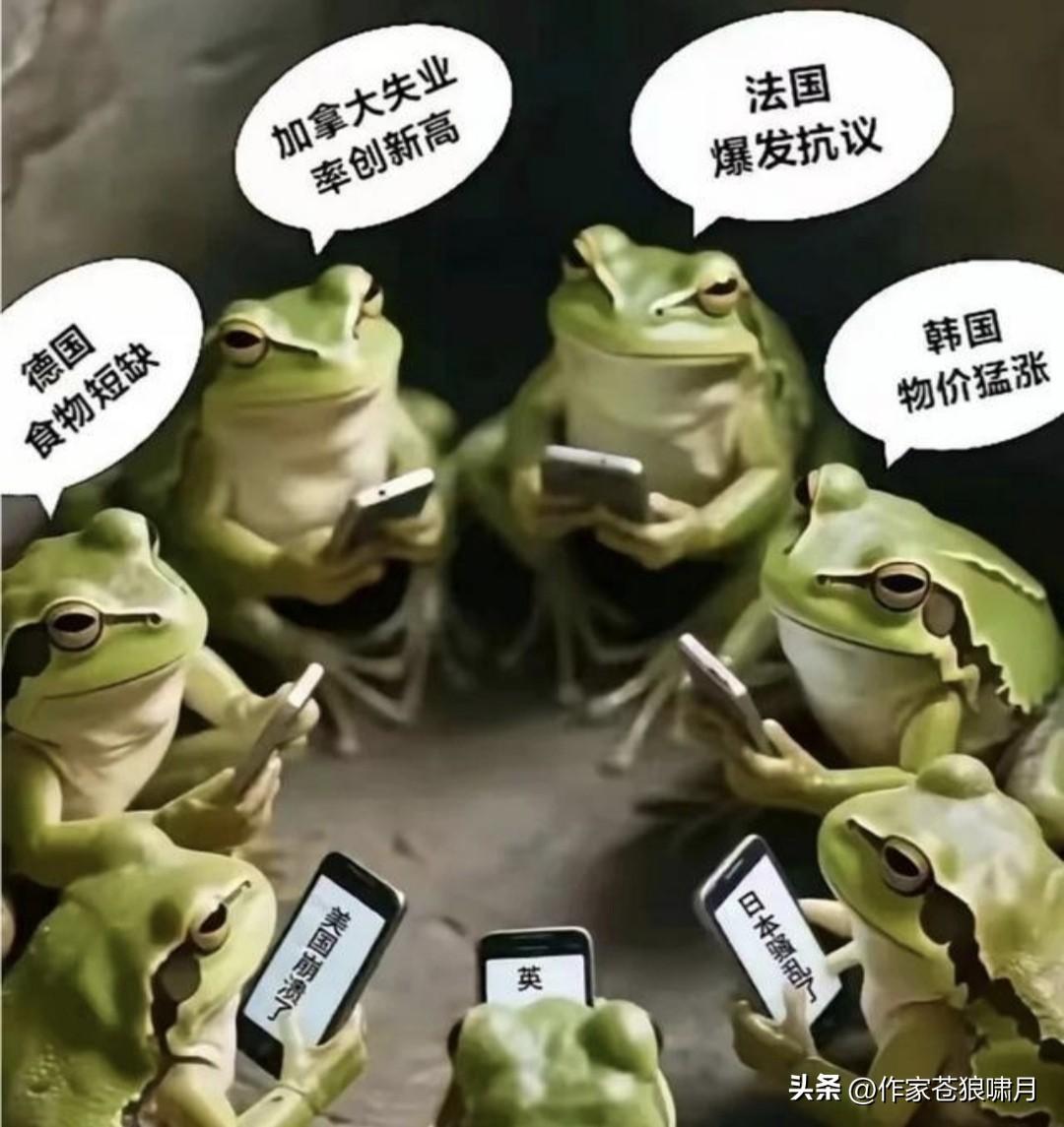 民间有高手，网络奇才多！这篇写“蛙”的短文，与莫言的“蛙”更为深刻？

网友把“