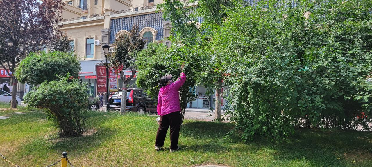 今天上午11:30回小区(兰城市城关区雁滩某小区)，经过小区旁边时，发现一个大妈