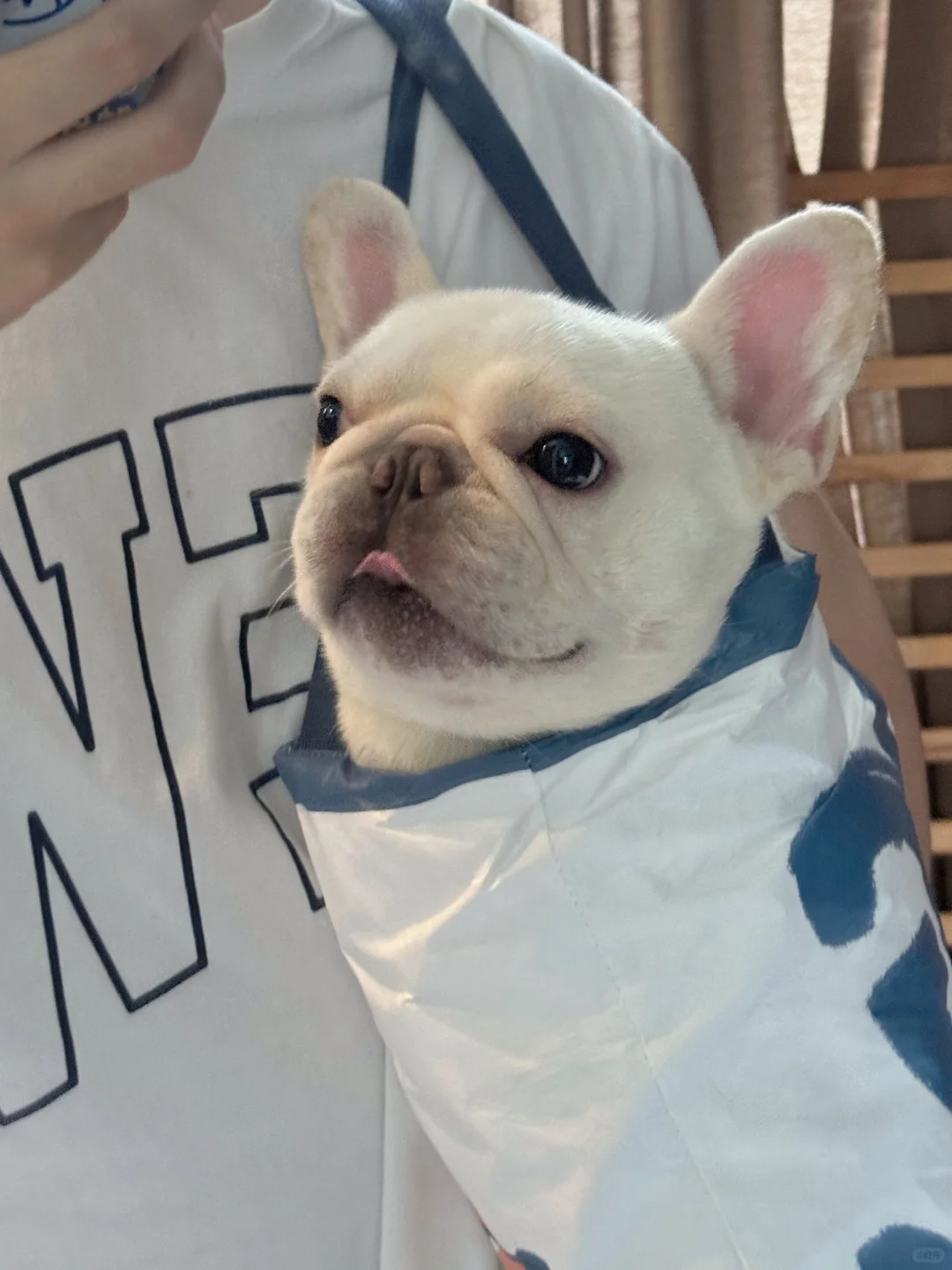 兜兜：我在哪儿？我是谁？