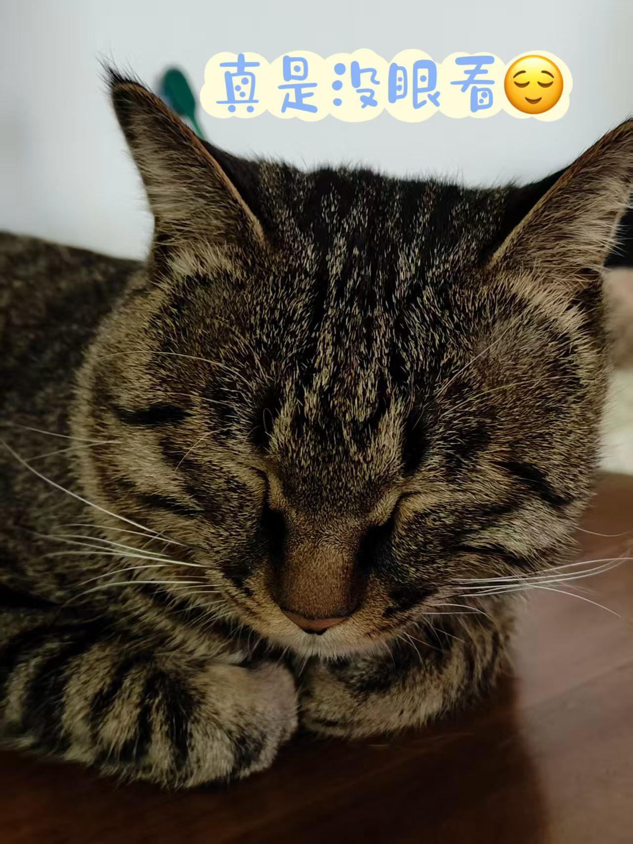 要和相互滋养的人在一起
不给你花钱，花时间，花精力，精神上还各种pua你的人，不