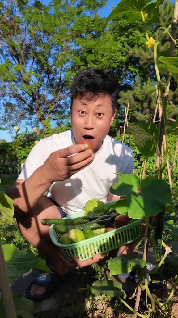 地里有菜不愁吃，您来吧。
家人们，看我种的黄瓜都这么大个了，西红柿也这么大个了，