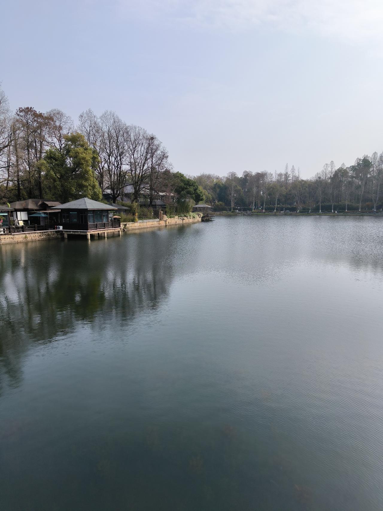 人生这条路，走久了才明白，最难的从来不是赶路，而是放下。

我们总是习惯紧握——