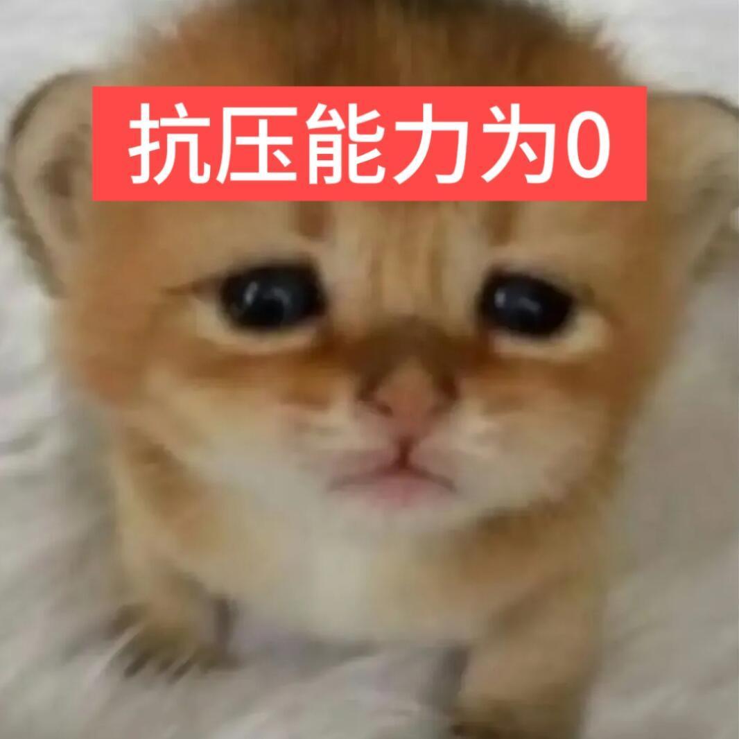 多少年过去了，看见高考还是紧张 
