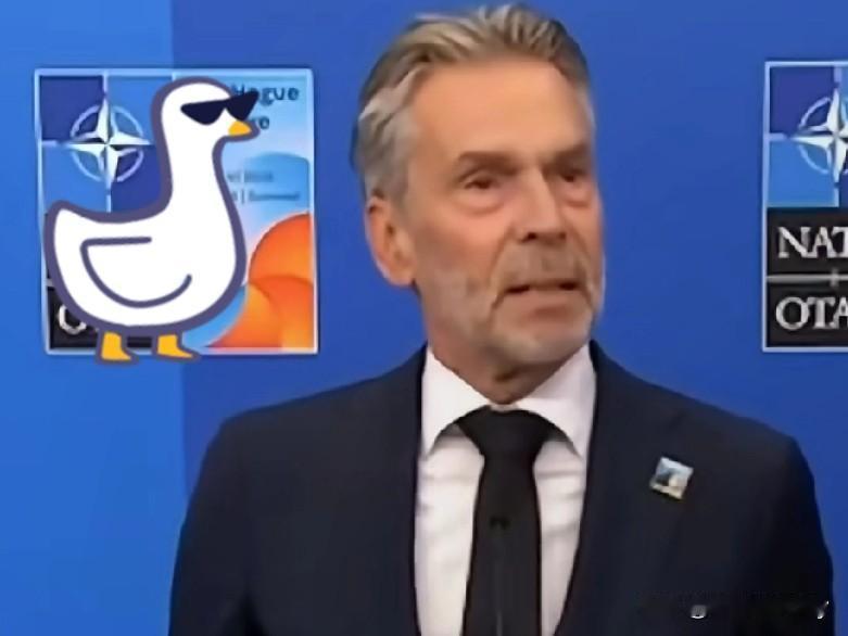 快讯!快讯!

荷兰又出新招了

荷兰又出狠话了。这次是“打不怕，狠不怕，一切反