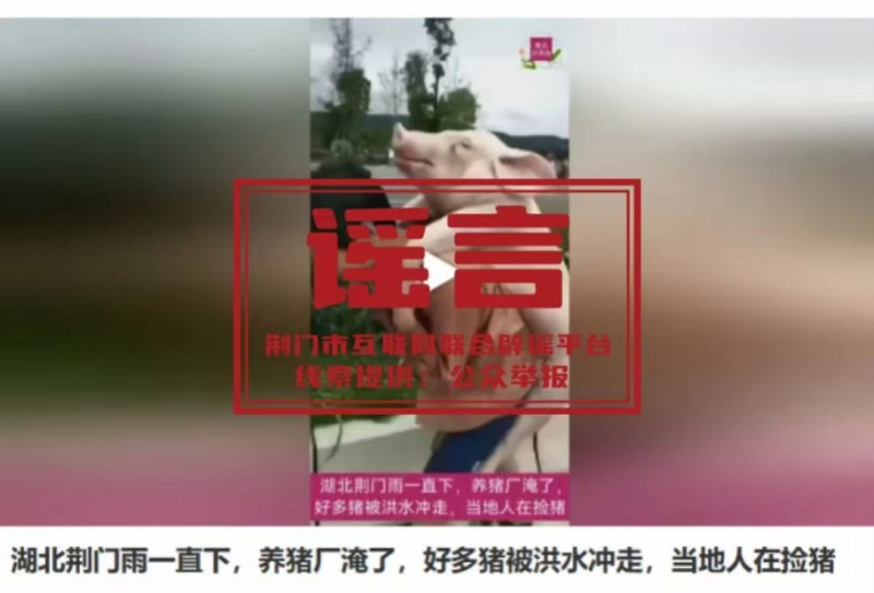 “荆门连续下雨致养猪场被淹”系谣言！造谣账号进行移花接木