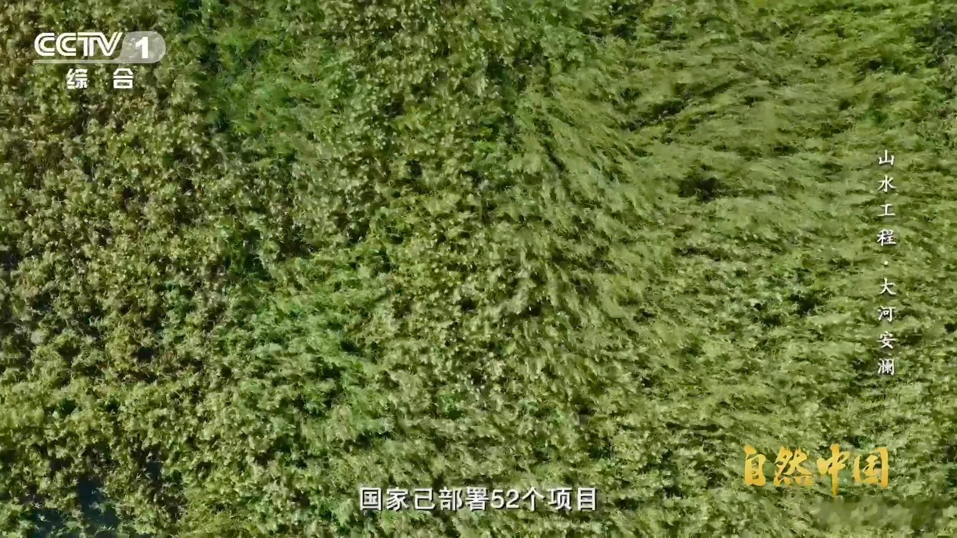 中国这项山水工程成世界范例联合国3个词为中国方案点赞硬实力铸就世界范例！创新理念