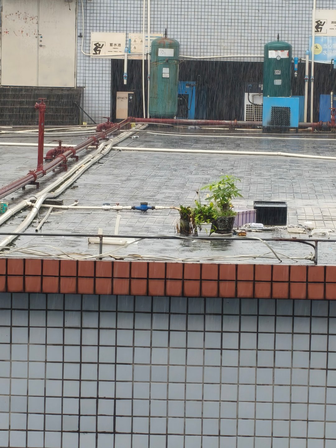 这雨真的没完没了今年好像哪里都在下雨🌧有的地方因为下雨太多，都淹了 