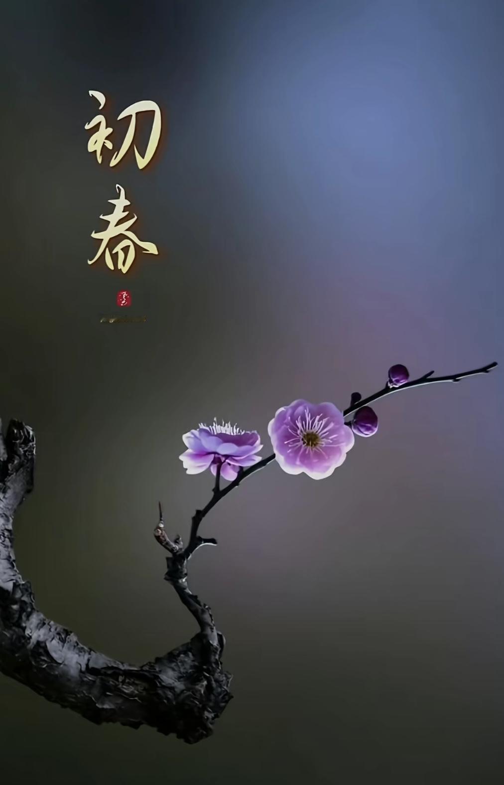 新年回望，感谢所有遇见

生命中的每一次相逢都自有深意，喜欢你的人带来温暖，让你