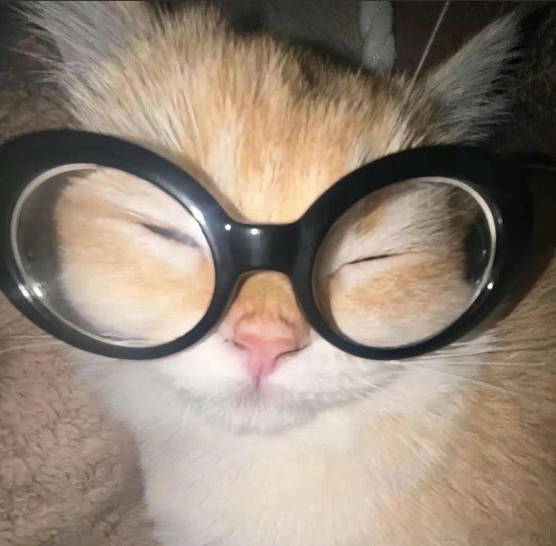 #凌晨三点看球能有多努力#这个氛围感真的是绝了，不得不说凌晨三点看球真的需要一个