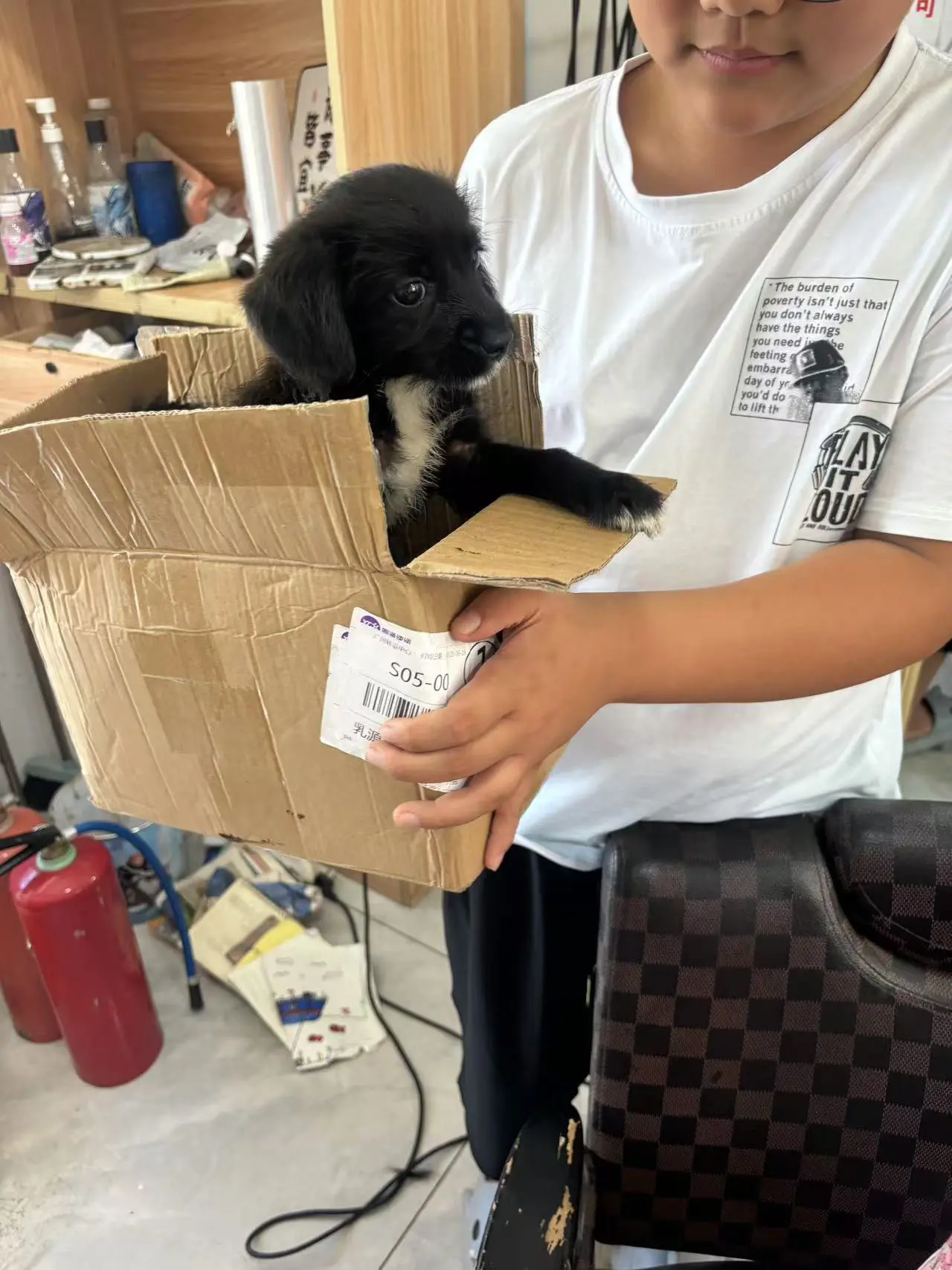 今天一个小朋友和他的家人，领养了一只小狗狗，并且说会照顾他们一辈子。
