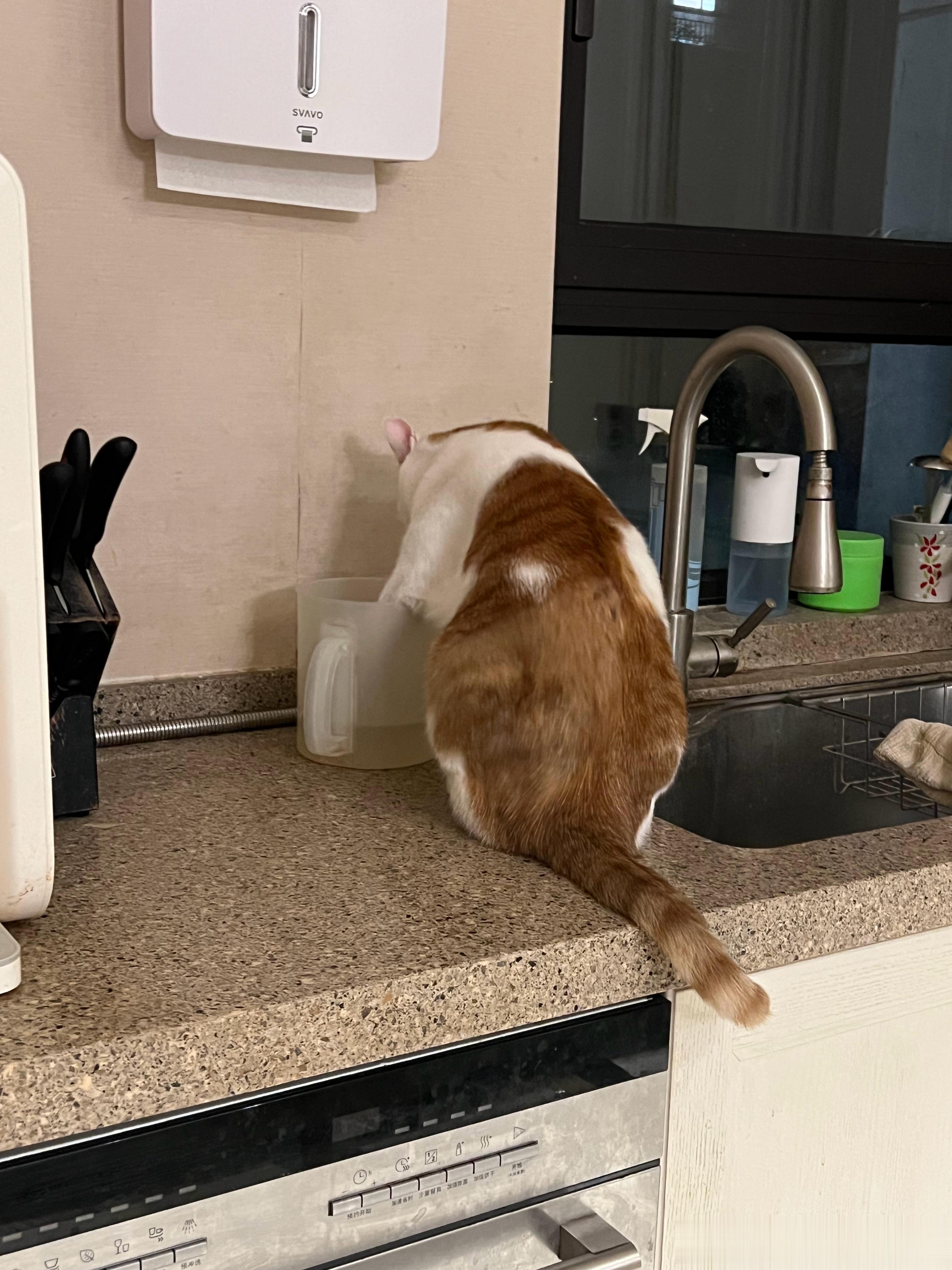 猴猴还没干完啊，歇歇吧，你干的再多再累，我也不会给你涨工资的[苦涩] ​​​