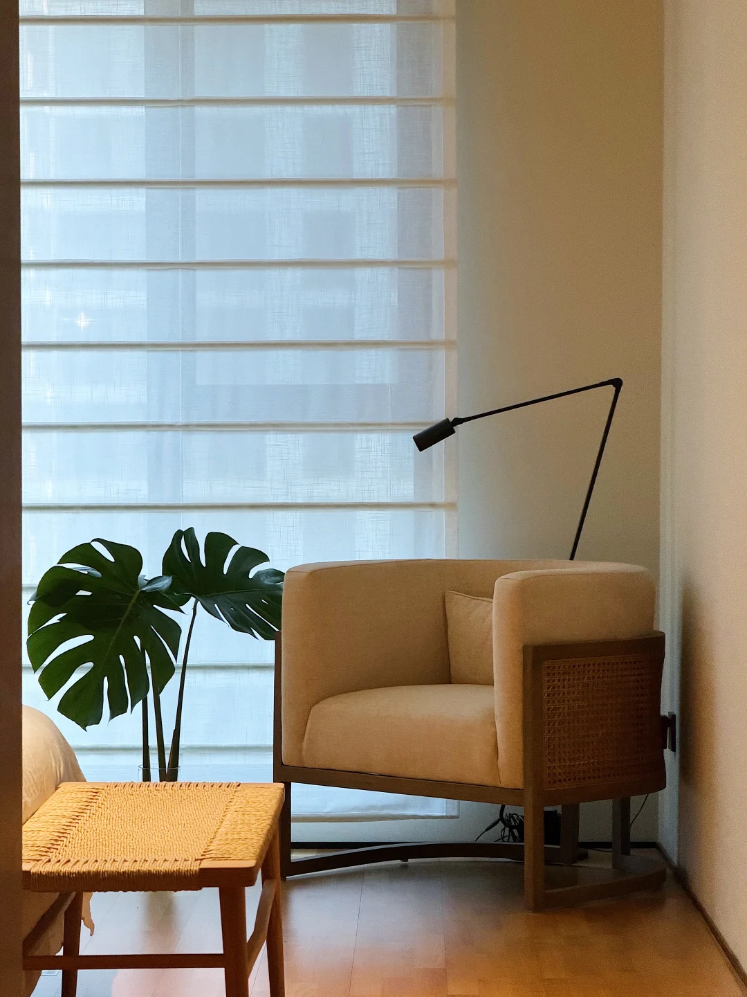 确诊为EDITION野生爱好者