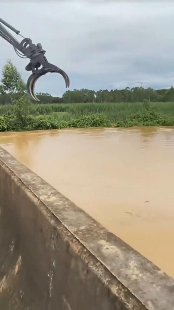 来，来，来。