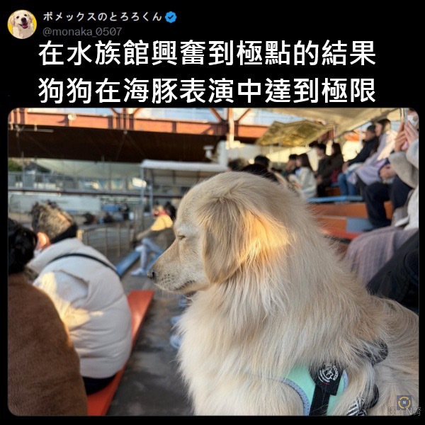 你觉得这个有意思吗？meme