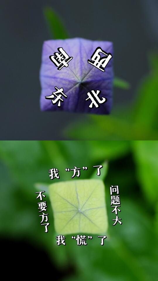 天天下雨，我“方”了，找不到东南西北了！