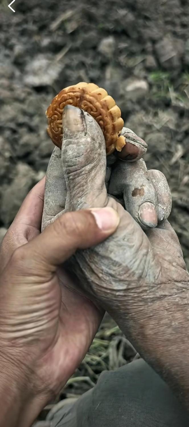 父亲。
这双手像久旱皲裂的老树皮，每道纹路里都嵌着岁月的粗粝，却总能稳稳托住家庭