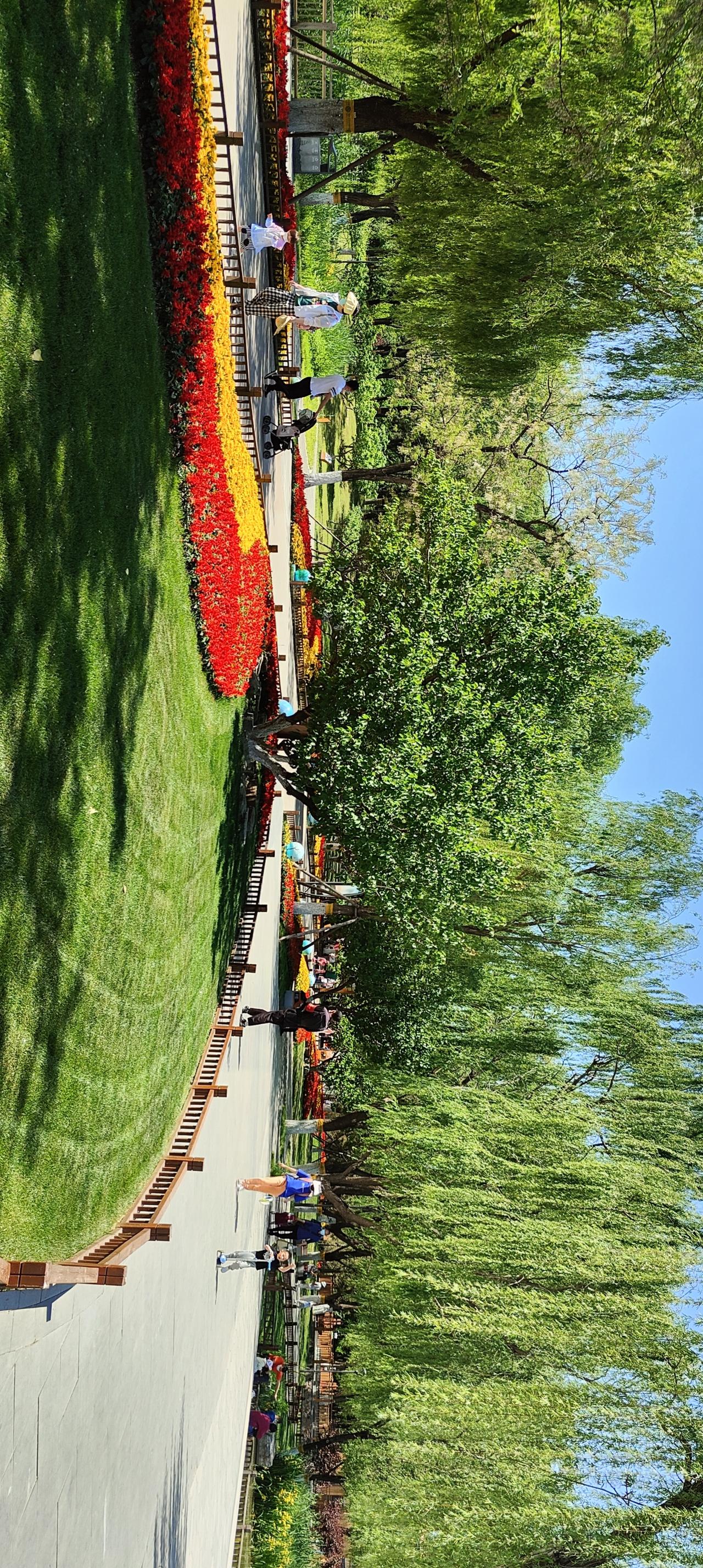阳光明媚的公园，绿树成荫，花团锦簇，快来散步吧！🌞🌳🌸
