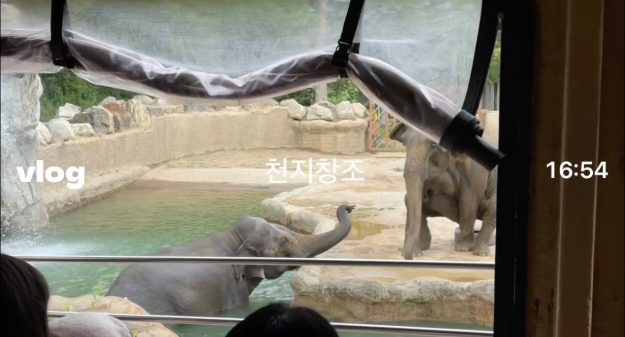 柳智敏为什么要偷拍吉赛尔洗澡。 