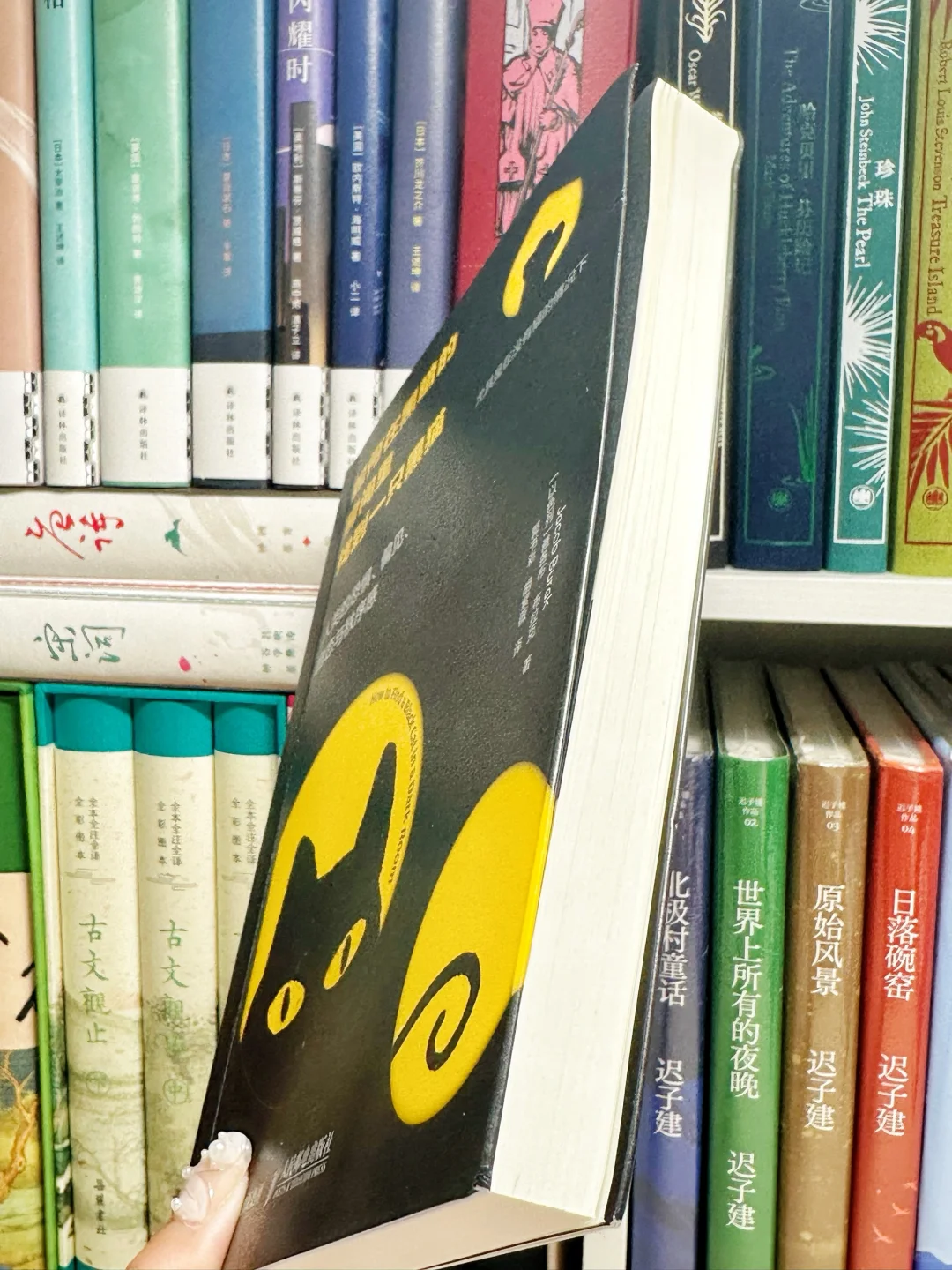 豆瓣9.1🌿今年读到的，最打动我的心理书！！