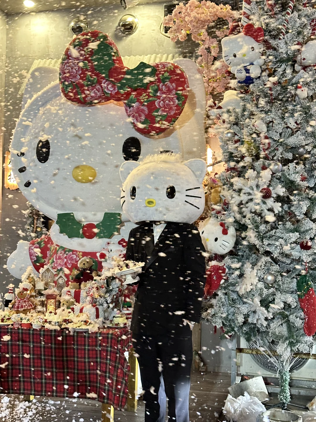 苏州真的下雪了！！！太浪漫了！！！