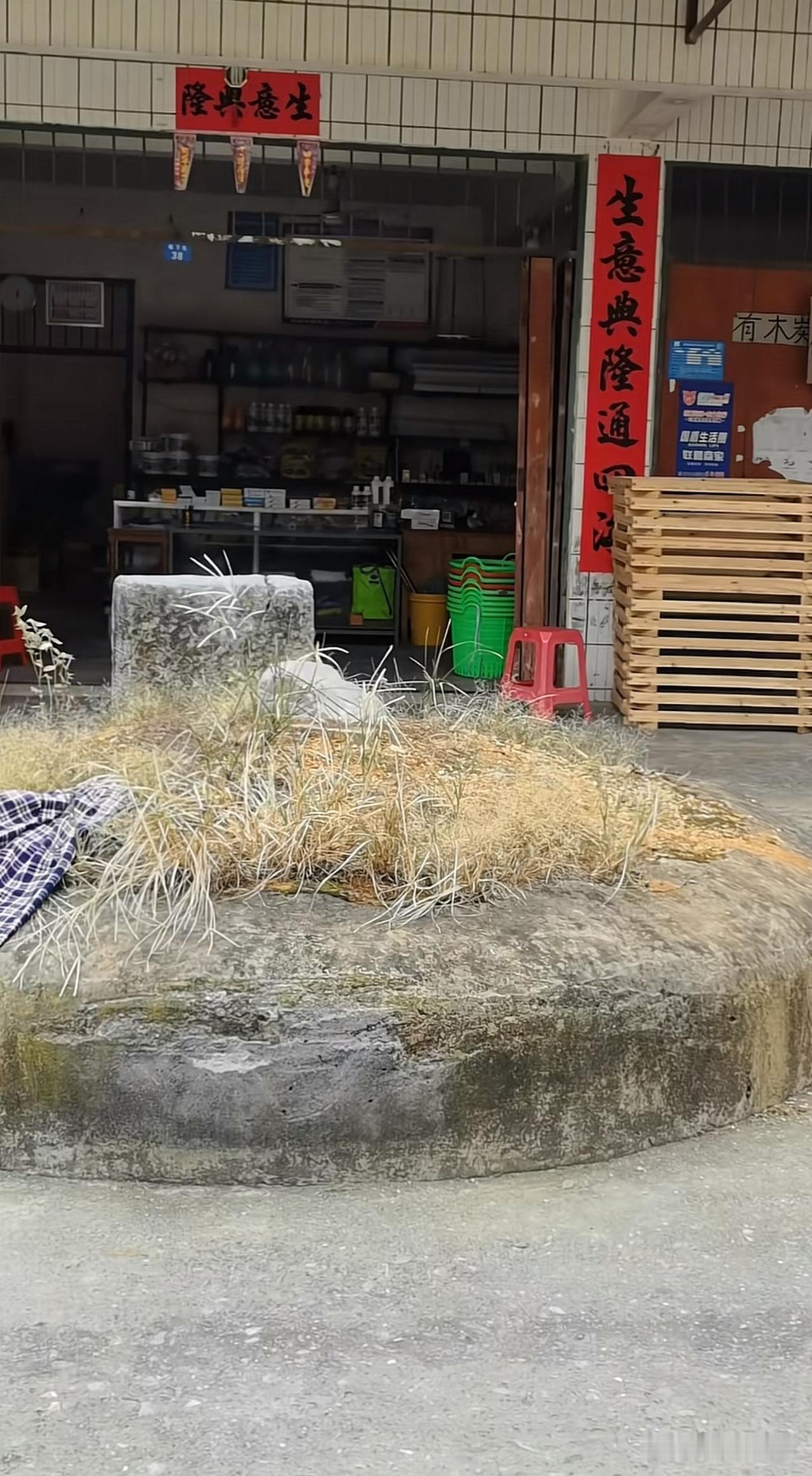 最真实的农村现状，这样的房子敢住人[赞]