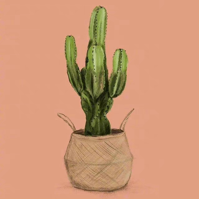 一个信任文艺的人，骨子里往往有天真的东西，这个东西，让他们不务实，不适应生活，不