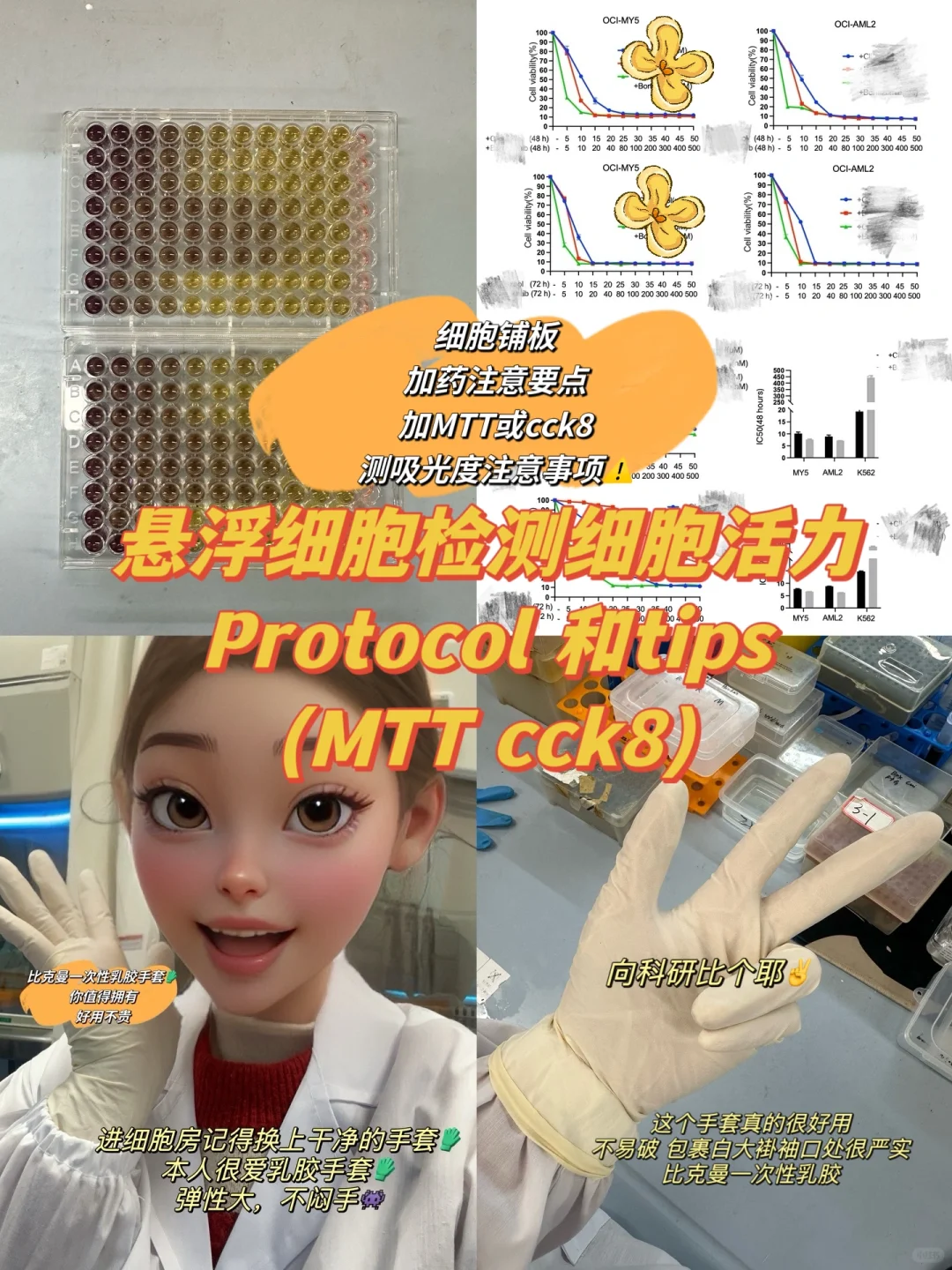 ⚠️悬浮细胞检测CCK8和MTT 小tips⚠️