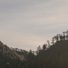 每日一善 阳光信用 “成功并非最终，失败并非致命；唯有继续前进的勇气才是永恒。”