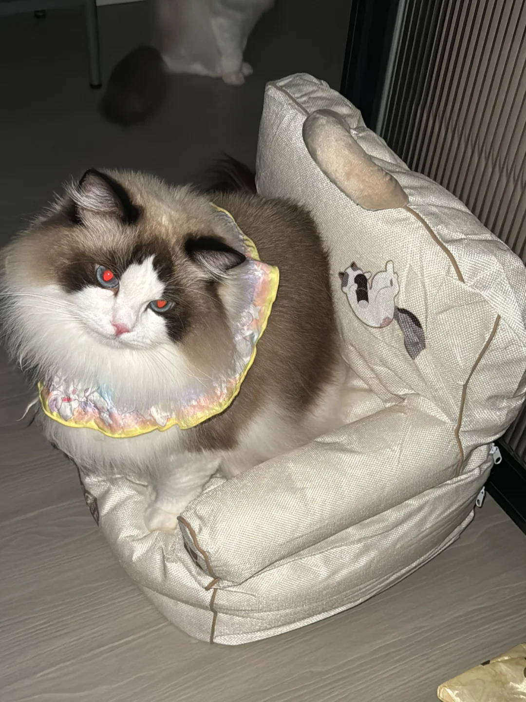沙发太小，坐上面一动不敢动……