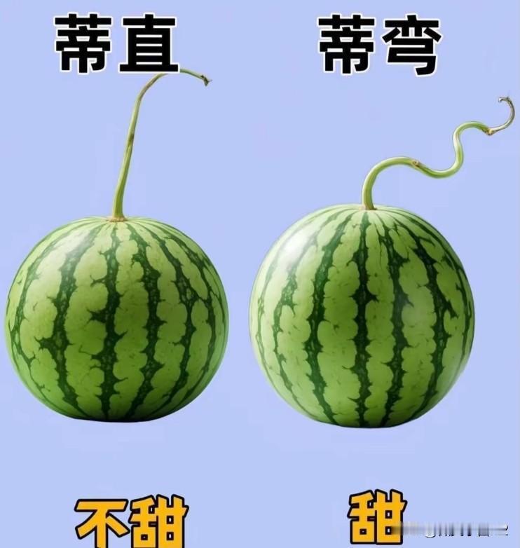 西瓜界的"读心术"：老瓜农绝不外传的三秒鉴瓜秘笈

——你以为挑西瓜靠拍？错，靠