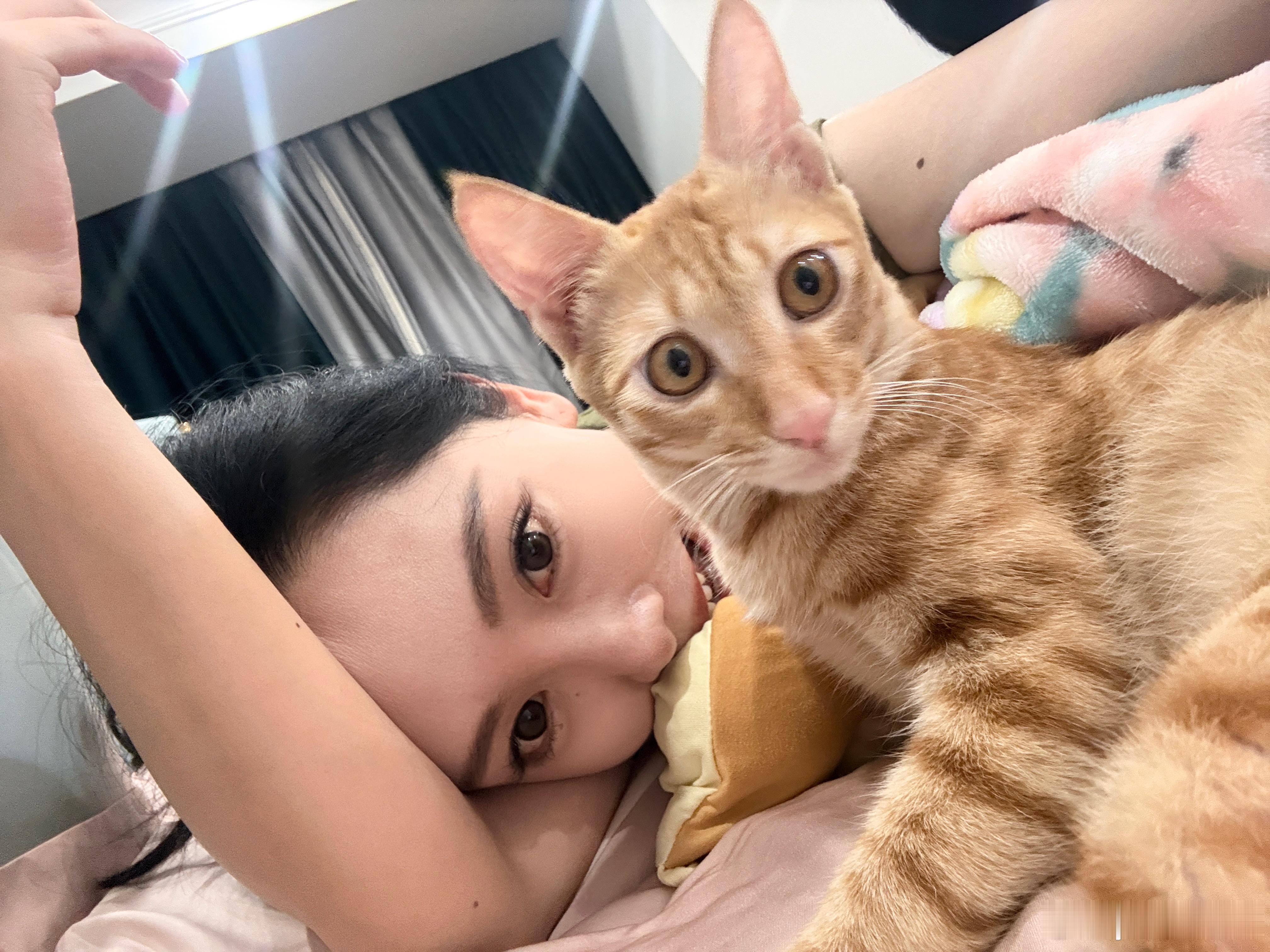 每天最治愈的时刻就是和猫猫抱抱！ ​​​