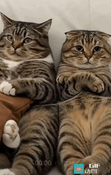 虽然是AI，
但是还是蛮好玩的。哈哈。