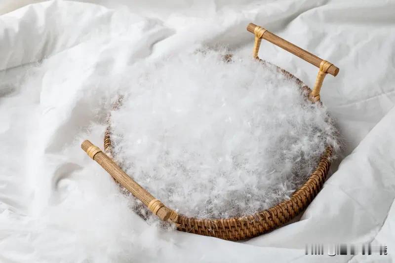 300元以下难买真羽绒服吗 300元以下难买真羽绒服吗？还真有点难。2025年羽