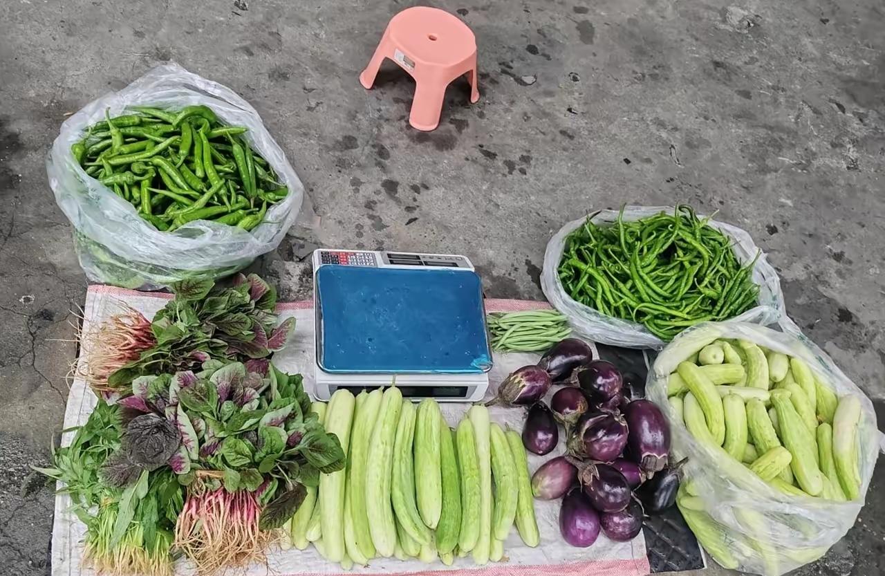 我自己种的菜吃不完，下午就去小区门口卖，来来回回有认识的，我都会礼貌性的给他们拿